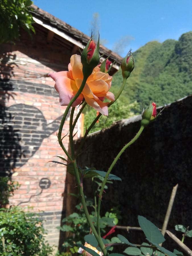 Xingping Our Inn Yangshuo Exterior foto